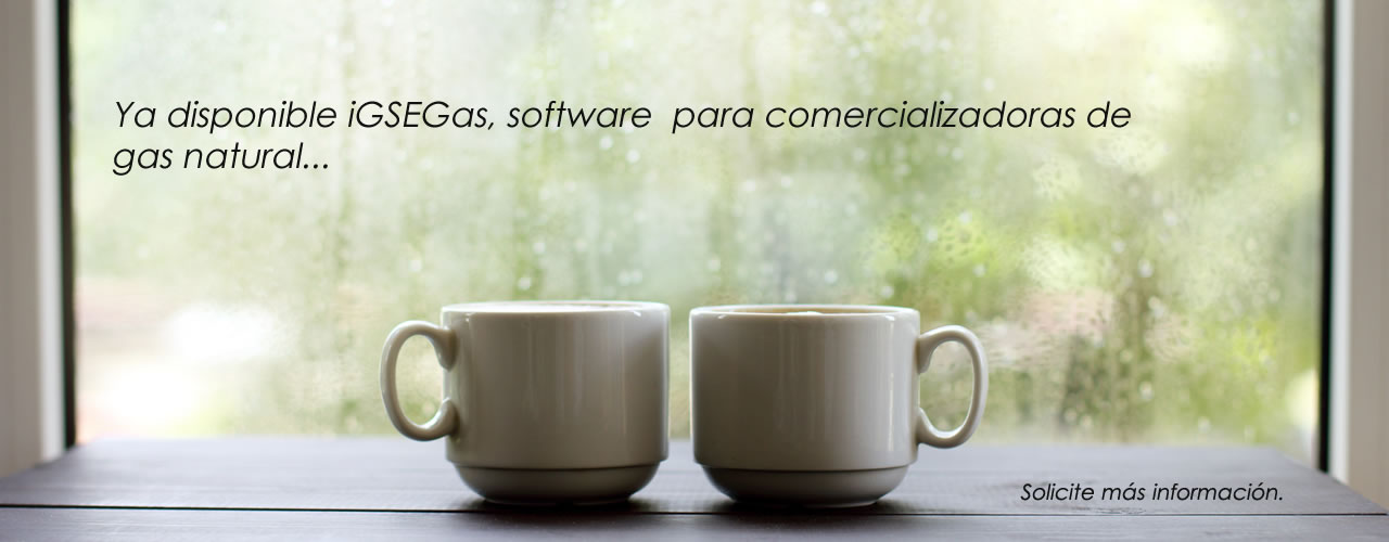 IgseGas